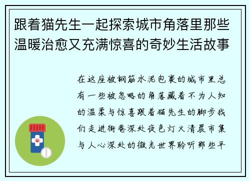 跟着猫先生一起探索城市角落里那些温暖治愈又充满惊喜的奇妙生活故事